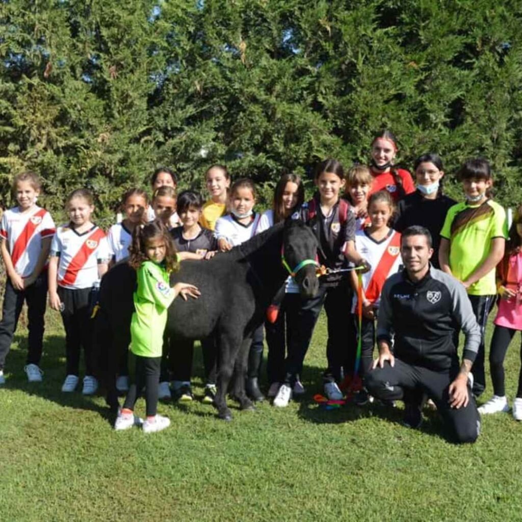 Terapia para club deportivos de liderazgo en Madrid
